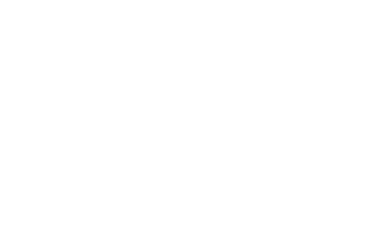 Christmas Village